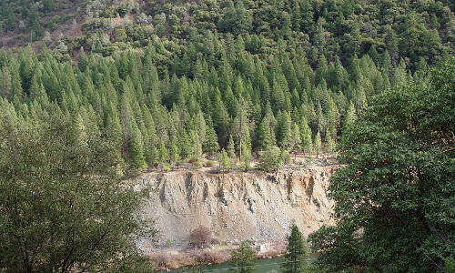 [The river bank here is a high dirt cliff with scatterings of small rocks. At the top is a flat area covered in a blanket of tall evergreens.]